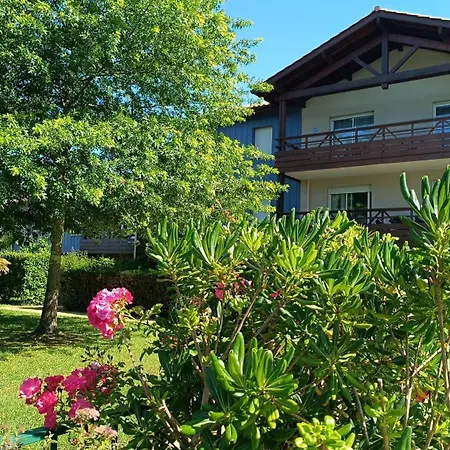 Le - Vue - Terrasse & Piscine - *